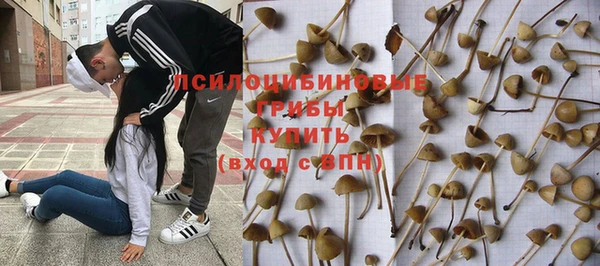 соль курить ск Абаза