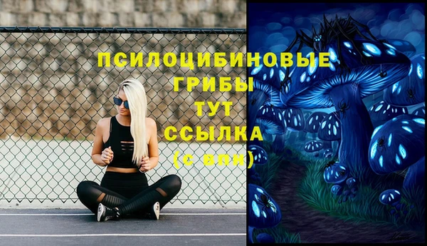 трава Абинск